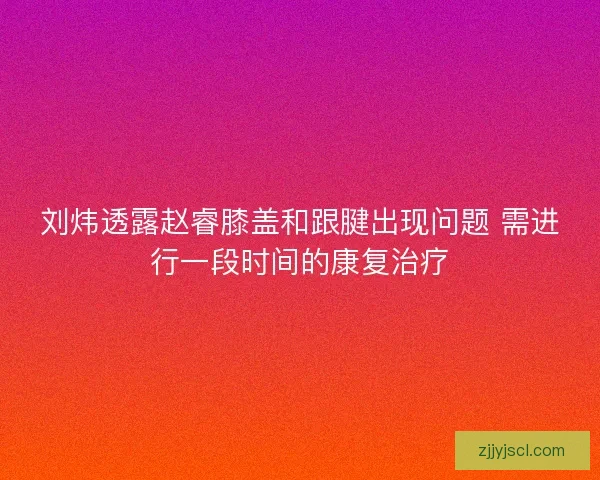 刘炜透露赵睿膝盖和跟腱出现问题 需进行一段时间的康复治疗